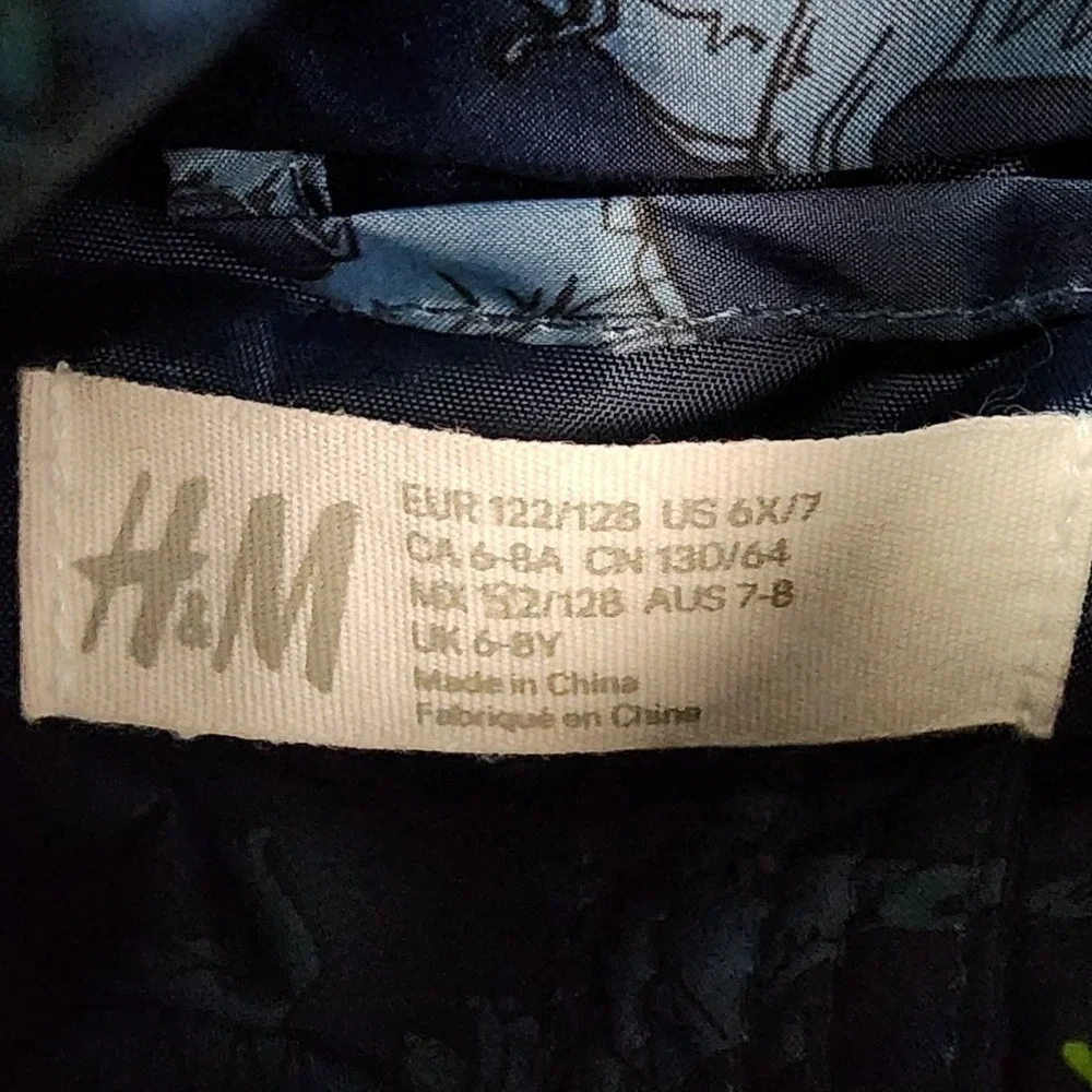 H&M Boys 6X/7 Navy Blue Dinosaur Puffer Vest Hooded Zip Up Jurassic Gorpcore Kid